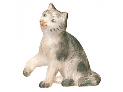 KÖ Katze sitzend color